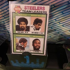 1978 Steelers Team Leaders
