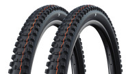 2X Schwalbe Romy 29 X 2.40 - 62-622 Gravity Pro Soft Faltreifen