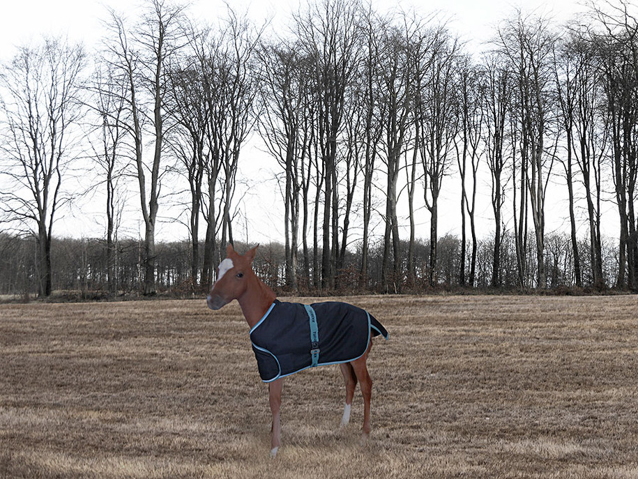 Попона для жеребенка TuffRider 1200D Ripstop с регулируемой посадкой Черный Стандарт 14690₽