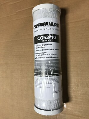 EVERPURE EV910853 COSTGUARD CG53-10 10/" 0.5 Submicron CYST FILTER EV9108-53