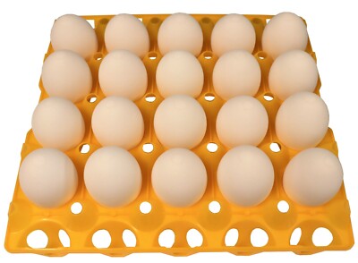 24 RITE FARM PRODUCTS 20 EGG PLASTIC TRAYS FOR DUCK GOOSE TURKEY PEAFOWL CARTON
