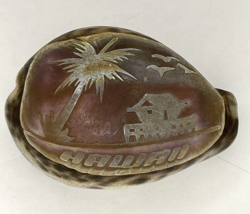 Carved Etched Tiger Cowrie Seashell Hawaii Palm Tree Overwater Hut Seagulls