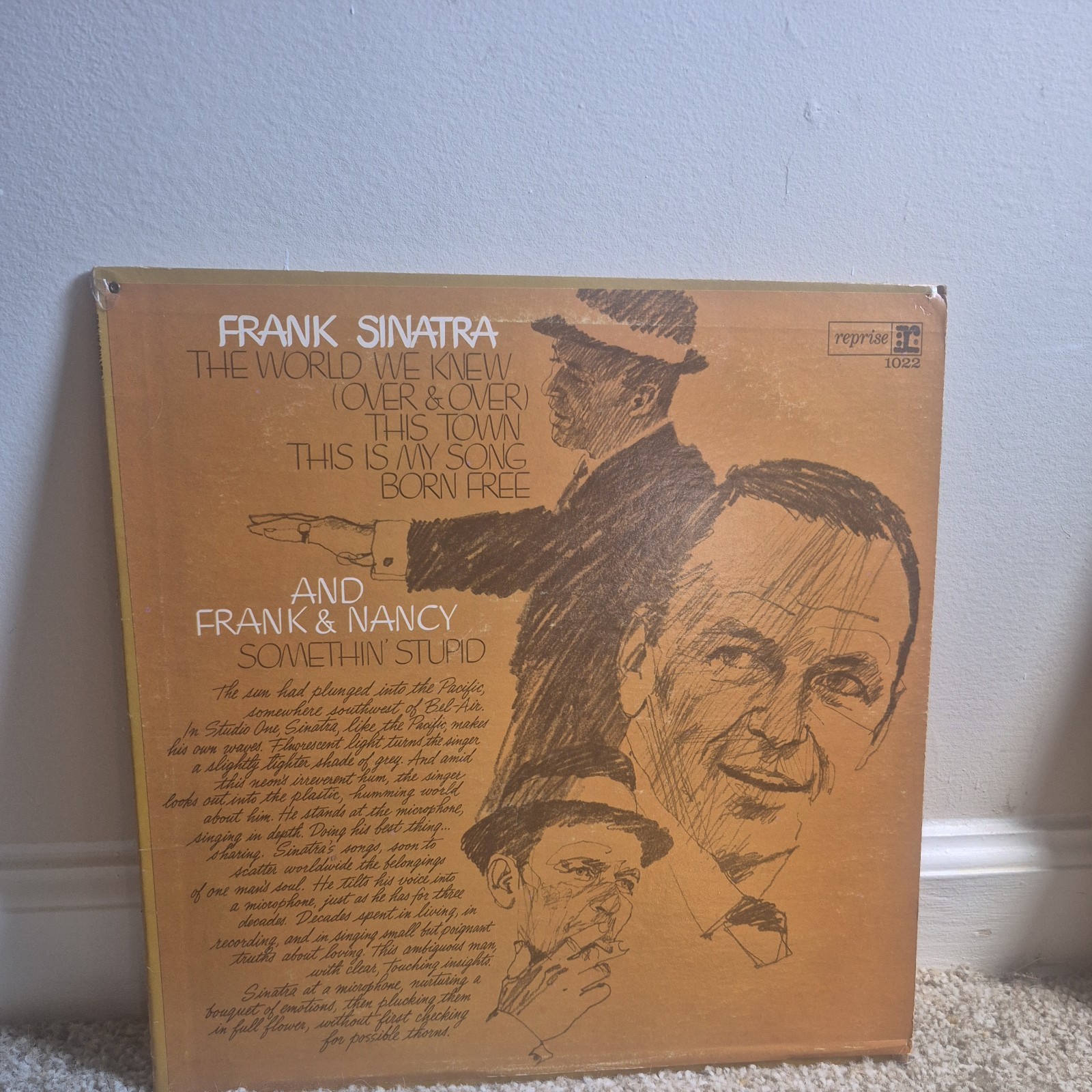 Frank Sinatra And Frank And Nancy, Vinyl