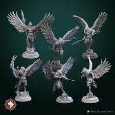 Aarakocra Warriors Fighter Ranger Rogue Miniature DnD D D