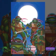 Teenage Mutant Ninja Turtles JOURNEYS #1 Peter Laird Virgin Variant /100 tmnt