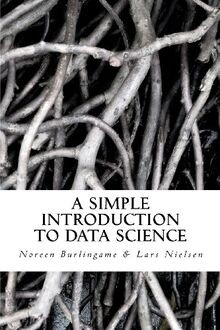A Simple Introduction to DATA SCIENCE von Nielsen, Lars | Buch | Zustand gut