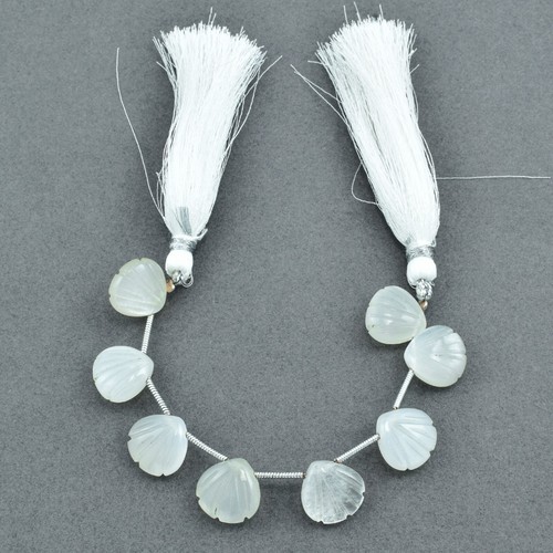 Bac Lackierwanne Couleur Coque Göße 115 320 Mm [230