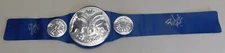 Ricky Morton Robert Gibson Rock & Roll Express Signed WWE Kids Title Belt WWF 1