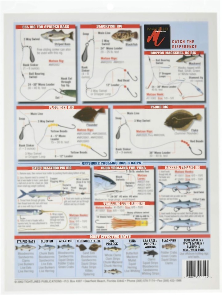 Saltwater Bait Rigging Guide #2 (Northeast)- Waterproof Reference | eBay