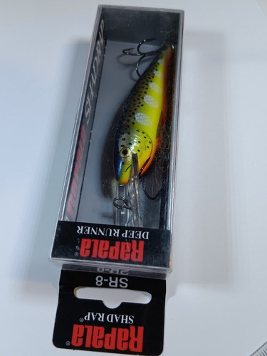 Rapala fishing lures SR-8 Shad Rap, Deep divers, Bass, Trout, Cod Barra lures - Picture 10 of 20