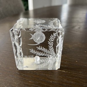 M. Cox Paperweight Fish Acrylic 3D Reverse Etched 2 1/2"