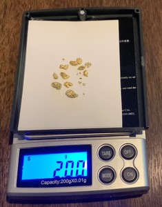 Alaskan Yukon Gold Nuggets 8 - 10 Mesh 2 Grams of Larger Pickers Placer Genuine