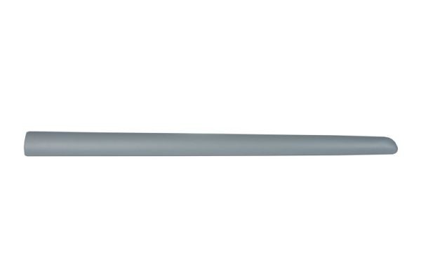 Left Front BLIC 5703-04-0519575P Trim/Protection Strip, wing for CITROËN