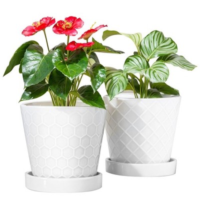 BUYMAX Plant Pots Indoor  6 inch Ceramic Flower Pot with Drainage Hole and