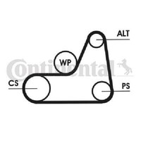 Original Continental Ctam Keilrippenriemen 6PK1042 Elast FüR Ford Mazda