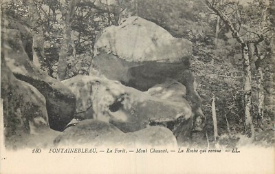 77 fontainebleau la foret la roche qui stir