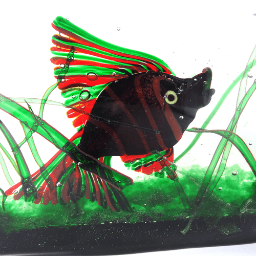 Riccardo Licata Fisch AQUARIUM 50s Cenedese Glass Murano 2,7 Kg. Glas Skulptur - Bild 1 von 8