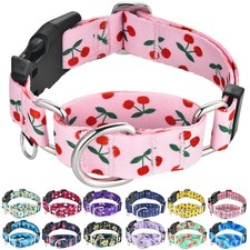 Martingale Dog Collar for Medium Dogs with Buckle No Pull Pink Girl Cute Dog ...
