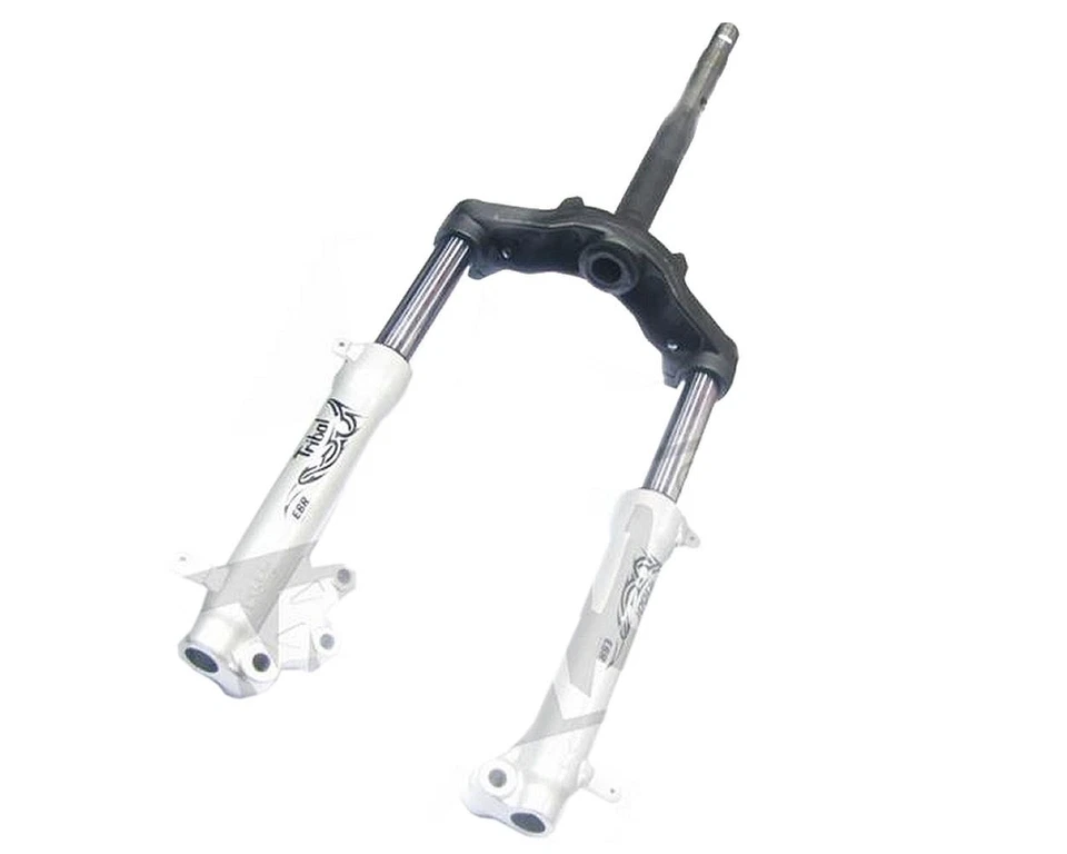 Telegabel / Gabel komplett für Malaguti F12 R Ersatz Roller Moped Austauschgabel - Bild 1 von 1