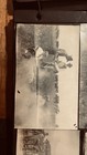 300+ Antique American Photo Album  Virginia, Arizona, Seneca, Grand Canyon — photo 10