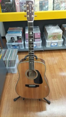 MORRIS TF-801 acoustic guitar