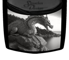 Gray Perched Rock Lake Landscape Dragon Hood Wrap Vinyl Graphic Decal 58
