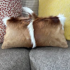 Springbok Pillow Case Size: 17x10"  Springbok Cushion Case -Suede Backing