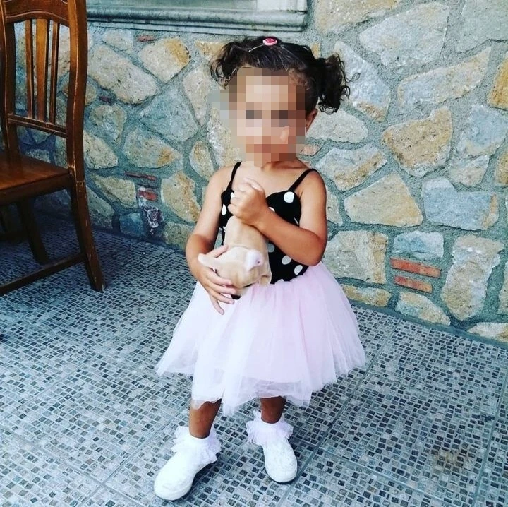Vestito hotsell rosa shein