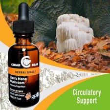 LION'S MANE MUSHROOM High Potency 20x Extract Liquid- Tincture 1 ounces