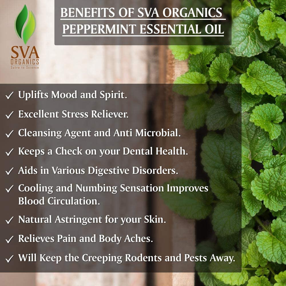 Peppermint Essential Pest Control Oil For Mice Spiders Ants Fleas Roaches Rodent eBay