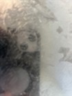 Picture 10 of 22