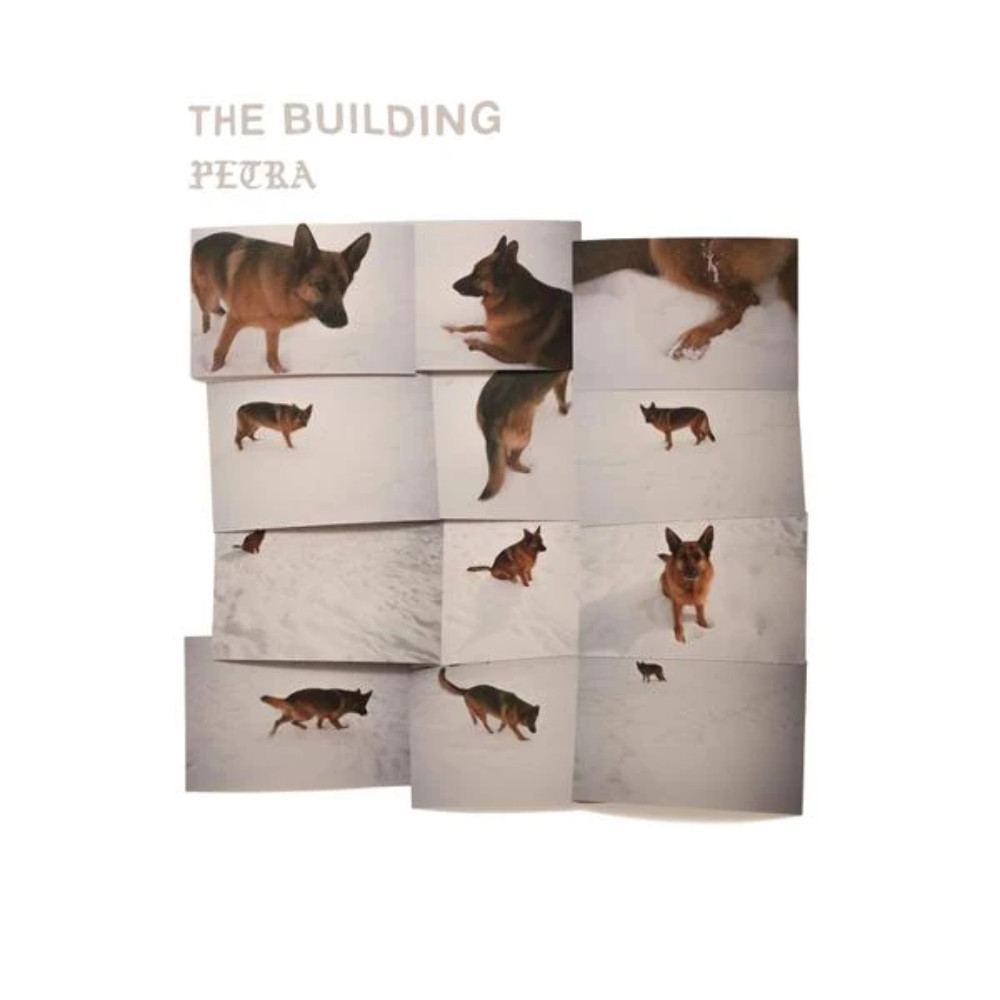 The Building - НОВЫЙ запечатанный виниловый альбом Petra LP