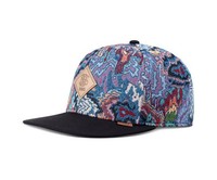 Djinn's Fashion Cap | 6 Panel Snapback Cap Colourexplo