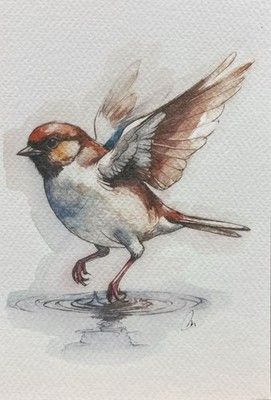 Original Watercolor Painting Sparrow Bird   Size (5x7 inches)