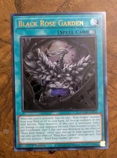 Black Rose Garden DOOD-EN055 Ultra Rare 1st Edition Near Mint Yu-Gi-Oh!