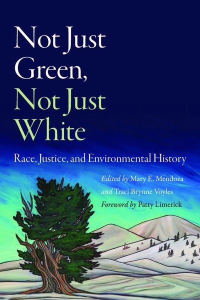 Not Just Green, Not Just White | Race, Justice, And Environmental History | Buch-image