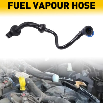 Hose Fuel Vapour FR3Z-9G297-H | OEM Parts Online