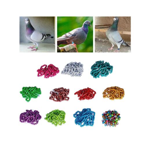 100 pièces anneaux de jambe de colombe de Pigeon 2024 bandes - Bild 1 von 34