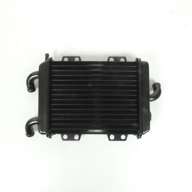 Radiateur de refroidissement pour scooter Peugeot 125 Elyseo 738202 737859 Neuf