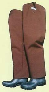 dans snake hip boots