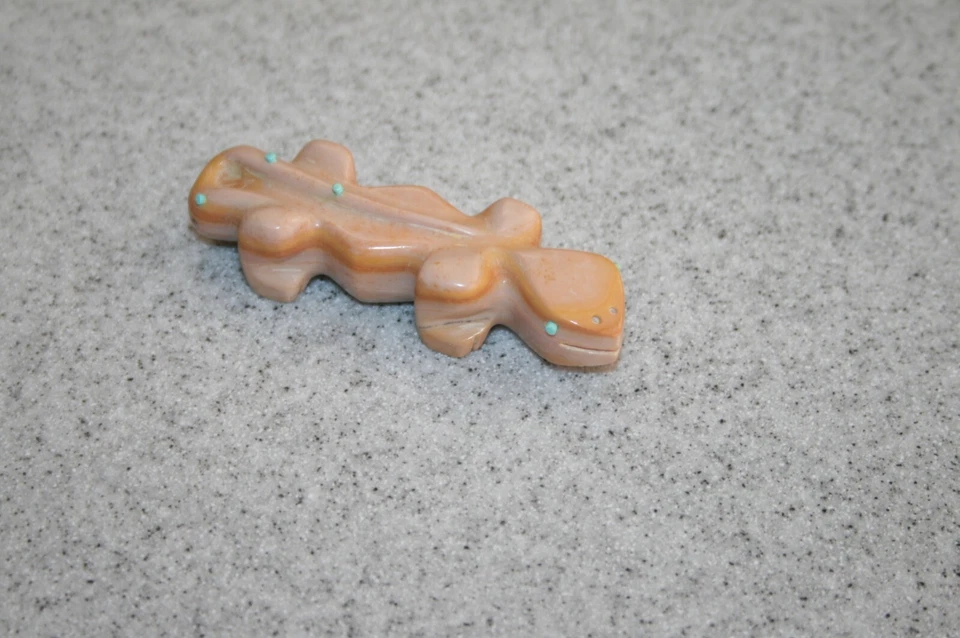 Fetiche lagarto colorido Foto 4 de 4