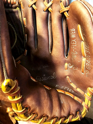 Spalding Professional E-Z Flex Super-Flex Web 10.5