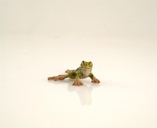 Franz Bergmann Vienna Tiny Crawling FROG Bronze Cold Painted Brass Bergman