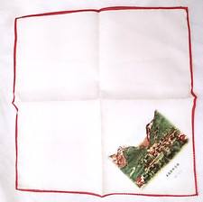 AGORDO / Belluno / Venetien 70s Italy Baumwoll Souvenir Taschentuch Neu