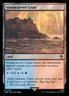 MTG - Stormcarved Coast (308) - Universes Beyond: Doctor Who - Near Mint