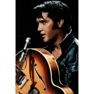 Elvis Presley Poster Color Shot Young Elvis | eBay