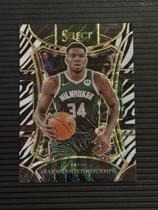 Basketball Zebra | eBay