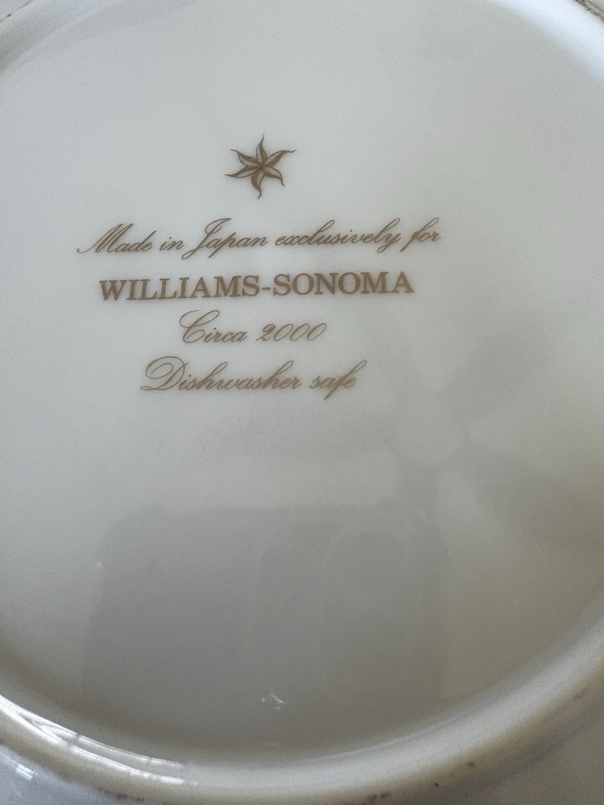 Williams Sonoma CIRCA 2000 / WSO48 Salad Plate(s) BOUNTY Excellent