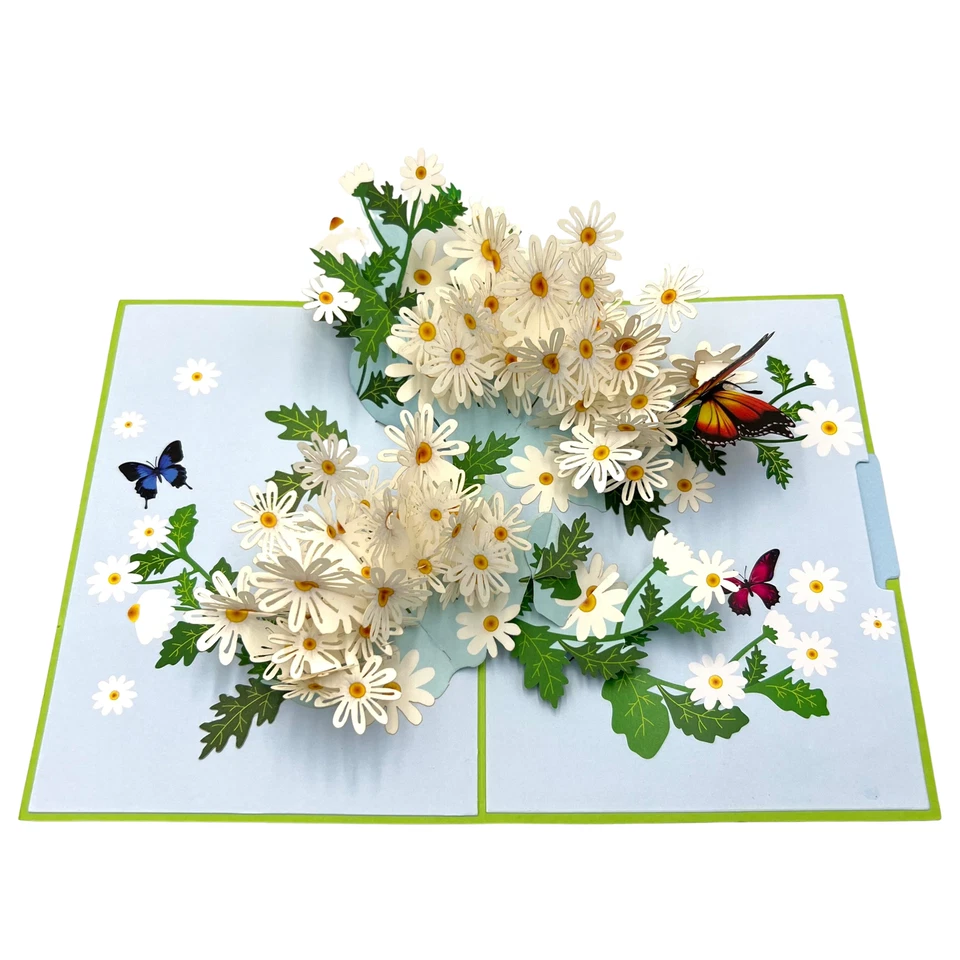 Pop Up Greeting Card White Daisy Field Blooming Flower Birthday Thank You Gift - Image 3 of 4
