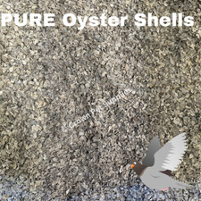 Pure Oyster Shells Calcium Minerals Birds Chickens Sizes FAST FREE SHIPPING